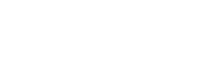 Verona Guide