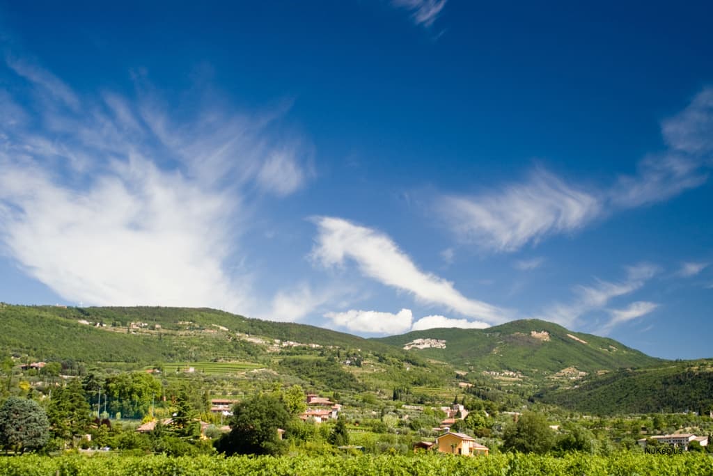 Valpolicella: La Guida da Insider alle Cantine che Vale Davvero la Pena Visitare