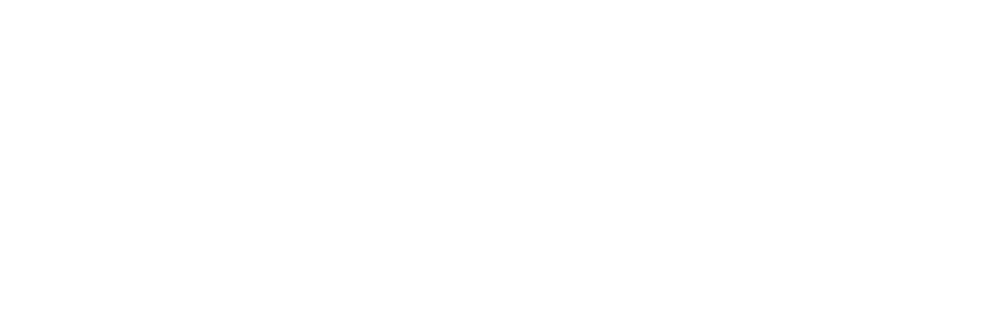 Verona Guide
